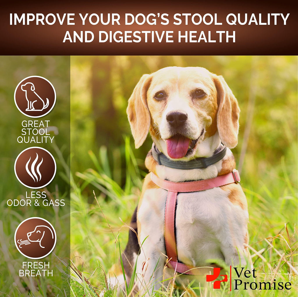 Great Poop - Stool Solidifier Chews for Dogs, Fiber + Probiotics + Enzymes, 120 Count
