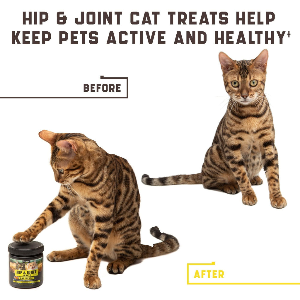 Hip & Joint Support Chews for Cats - Glucosamine, MSM & Chondroitin, 135 Count