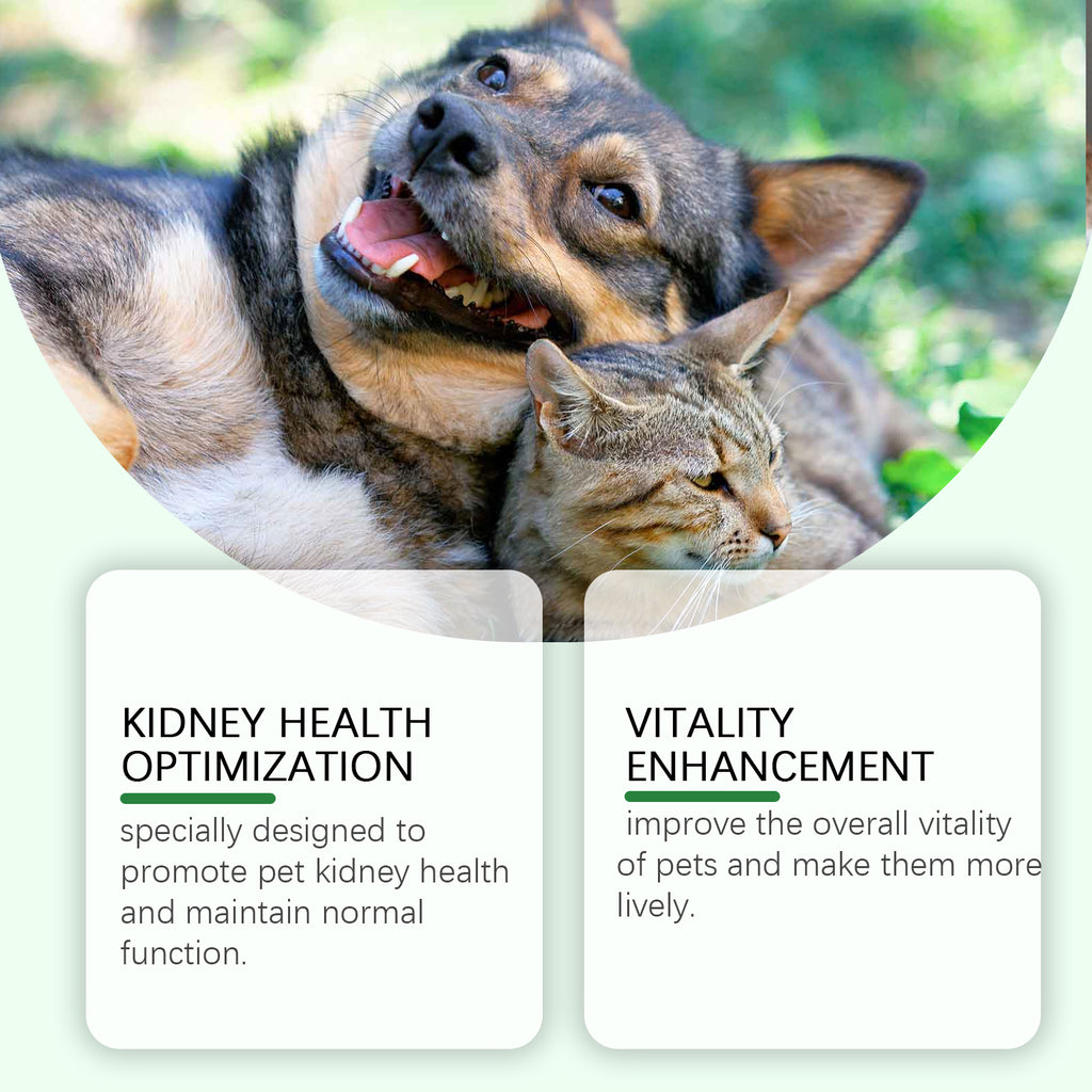 Urinary Tract & Kidney Support Supplement for Dogs and Cats