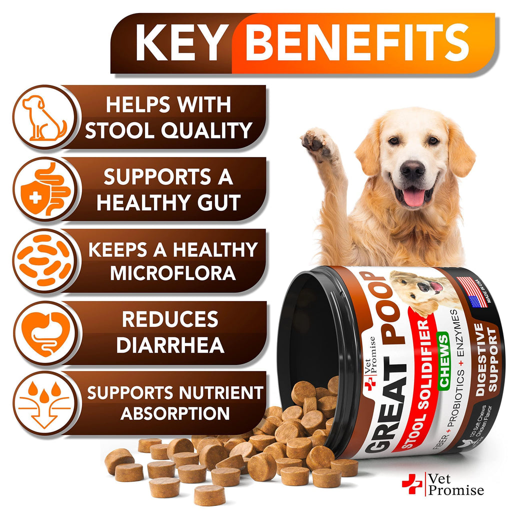 Great Poop - Stool Solidifier Chews for Dogs, Fiber + Probiotics + Enzymes, 120 Count