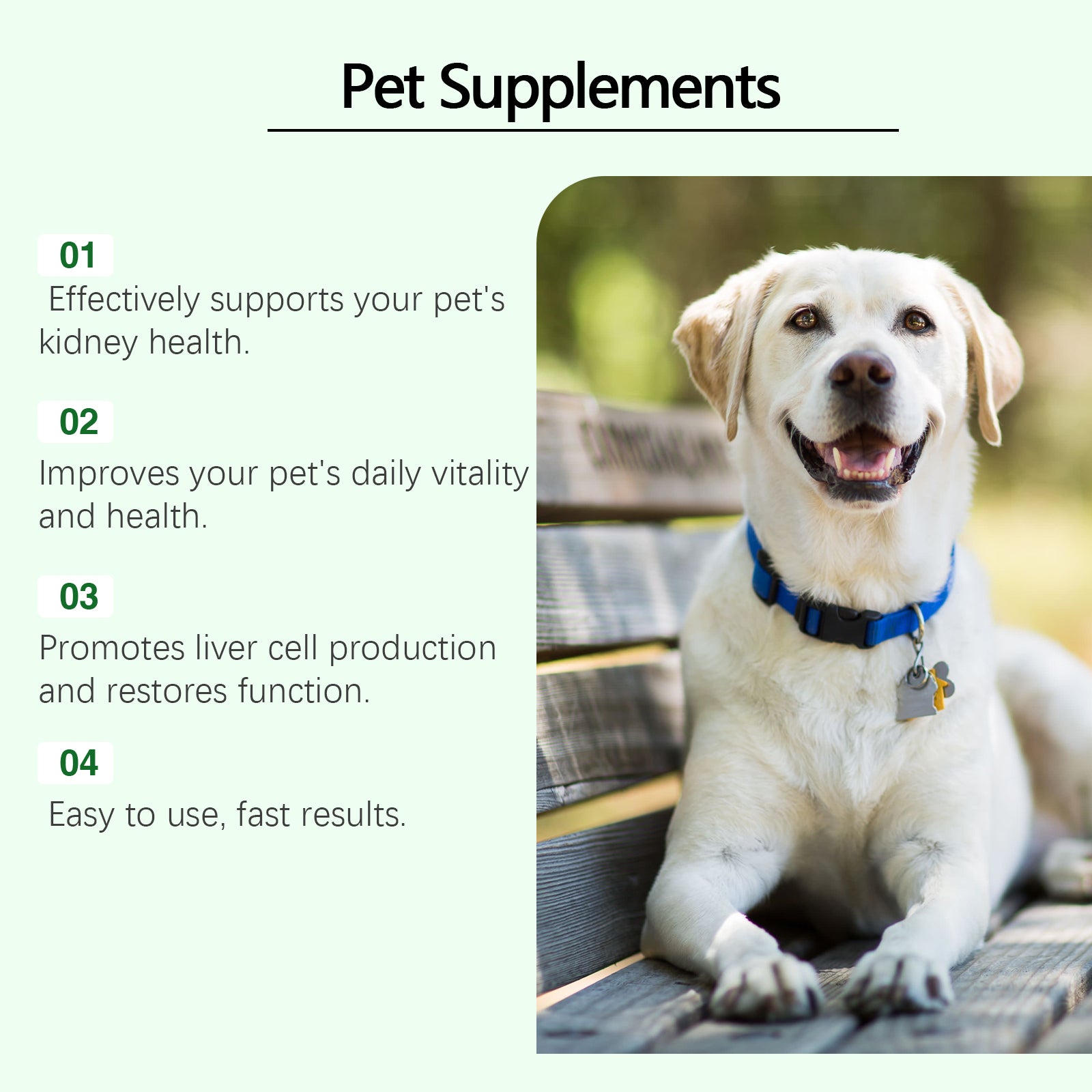 Urinary Tract & Kidney Support Supplement for Dogs and Cats