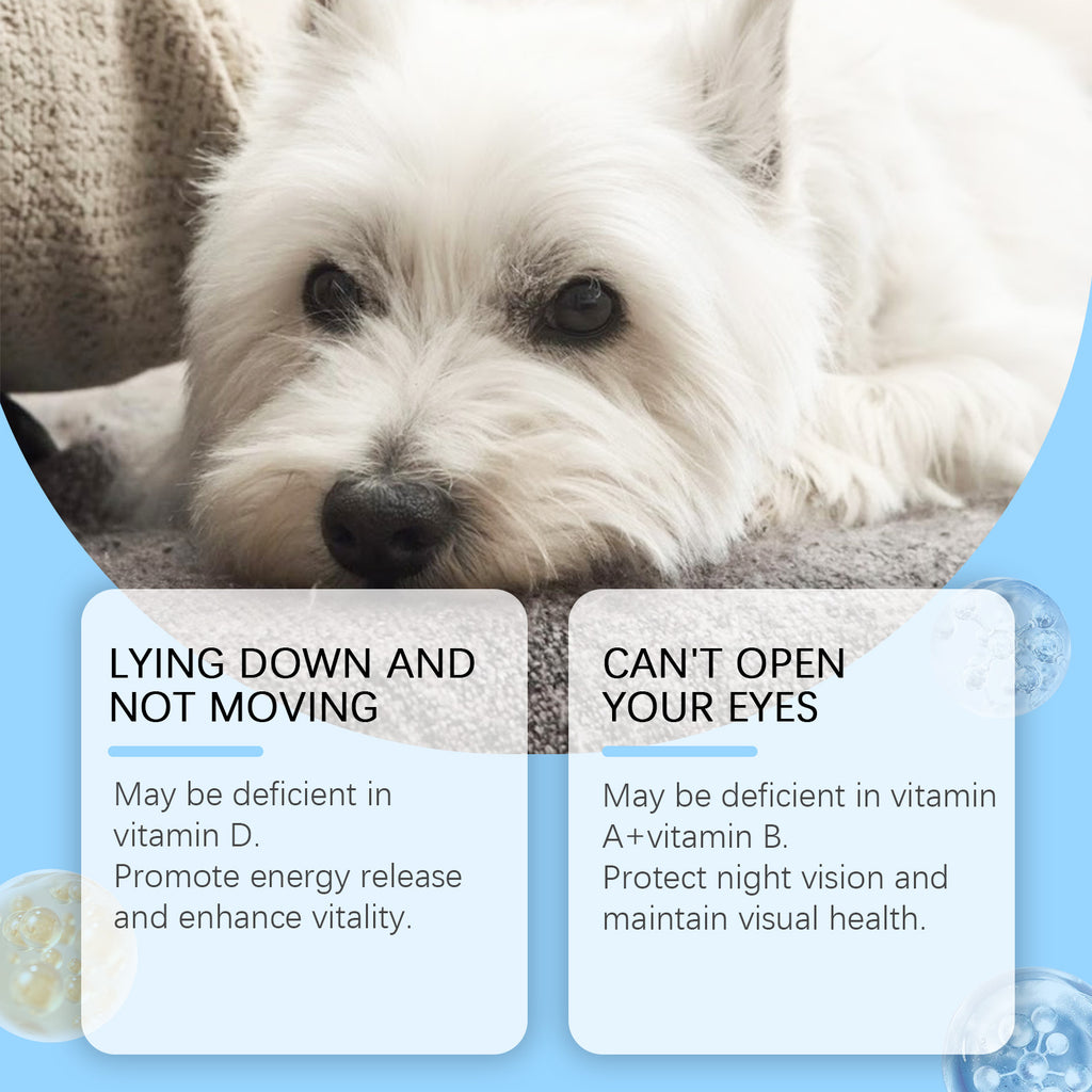 Multivitamin Tablets for Dogs and Cats, 80 Count