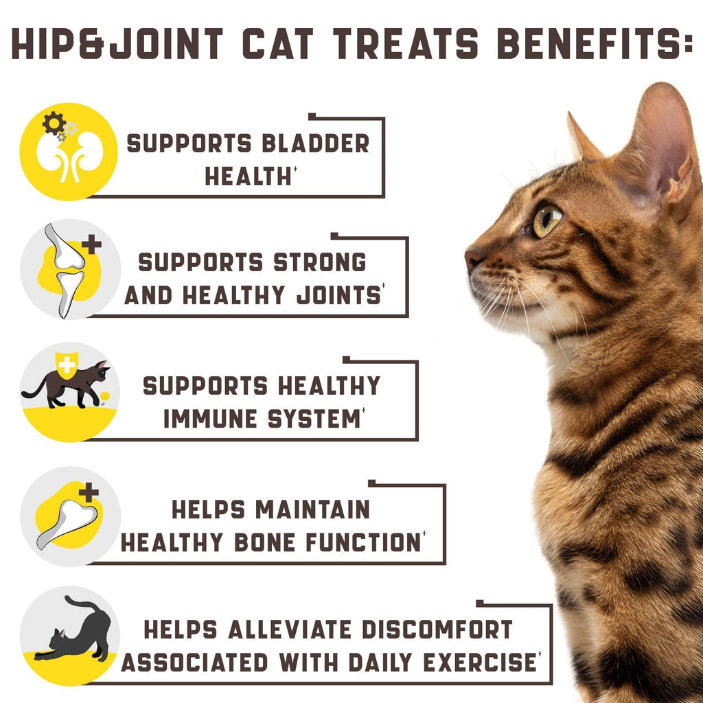 Hip & Joint Support Chews for Cats - Glucosamine, MSM & Chondroitin, 135 Count