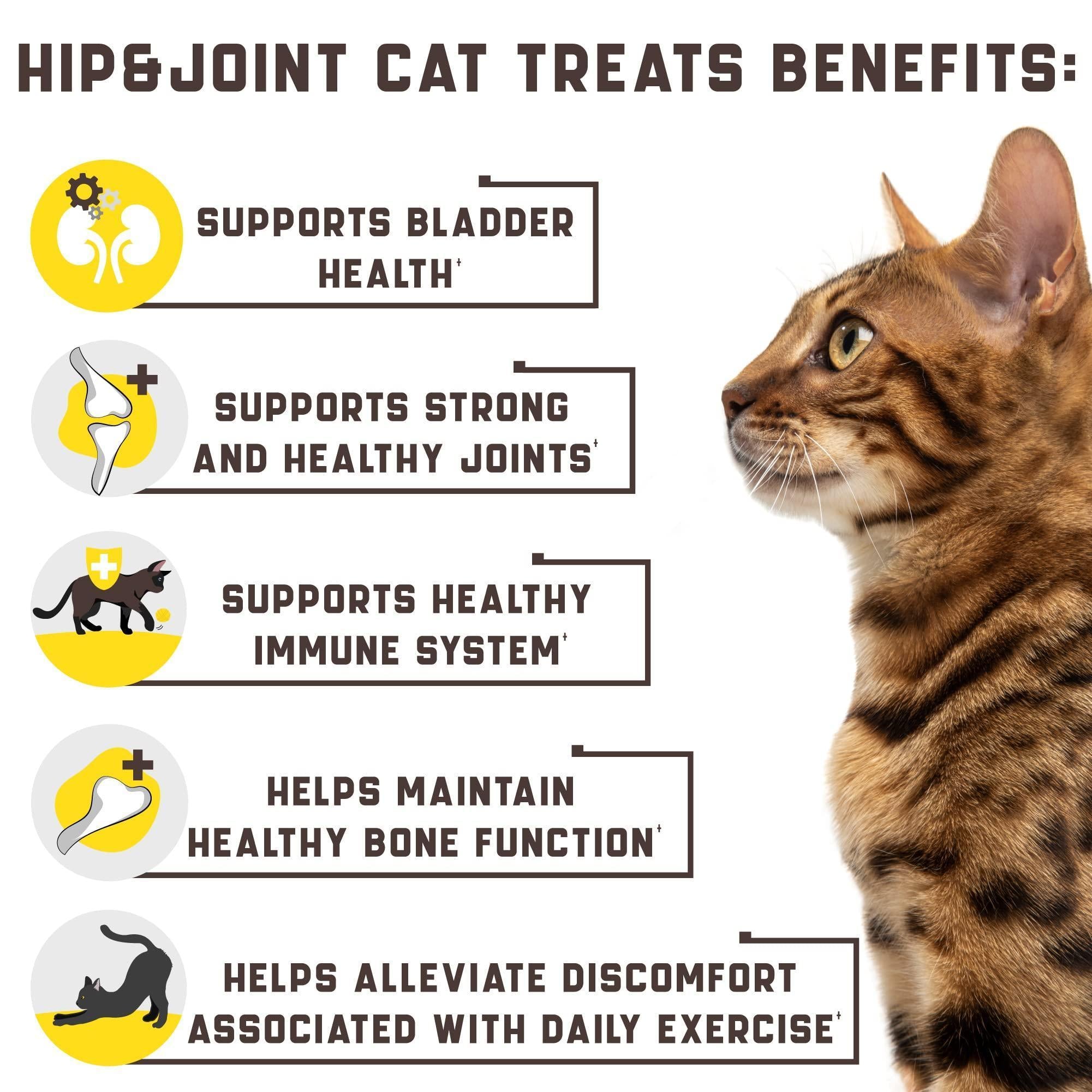 Hip & Joint Support Chews for Cats - Glucosamine, MSM & Chondroitin, 135 Count